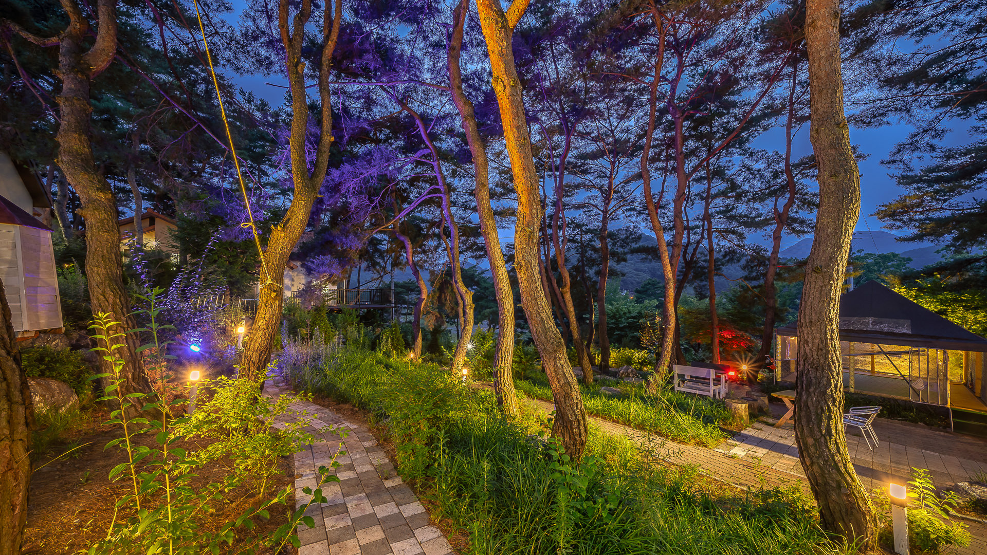 �ֺ���� �̹���