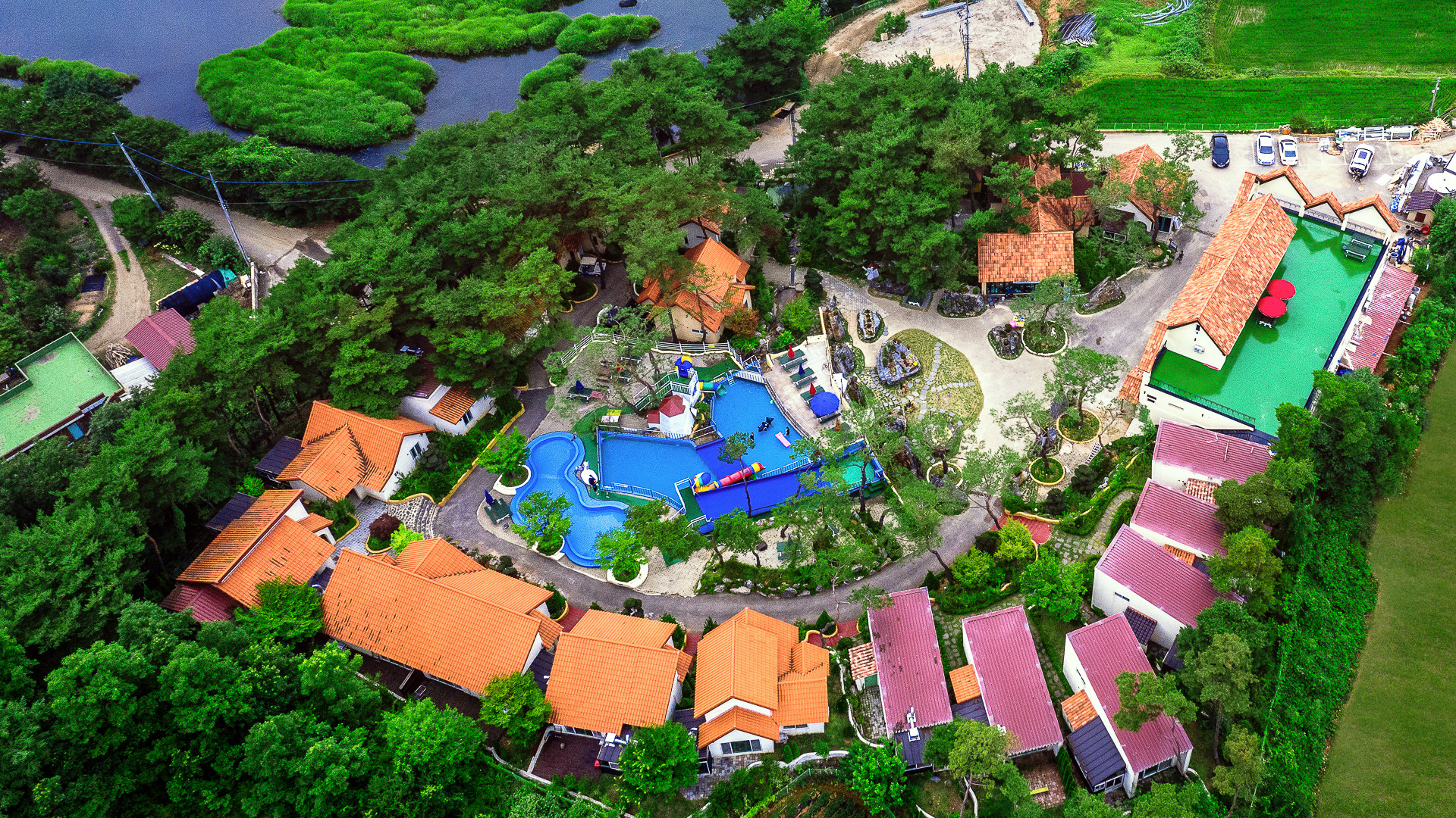 ����Ʈ����