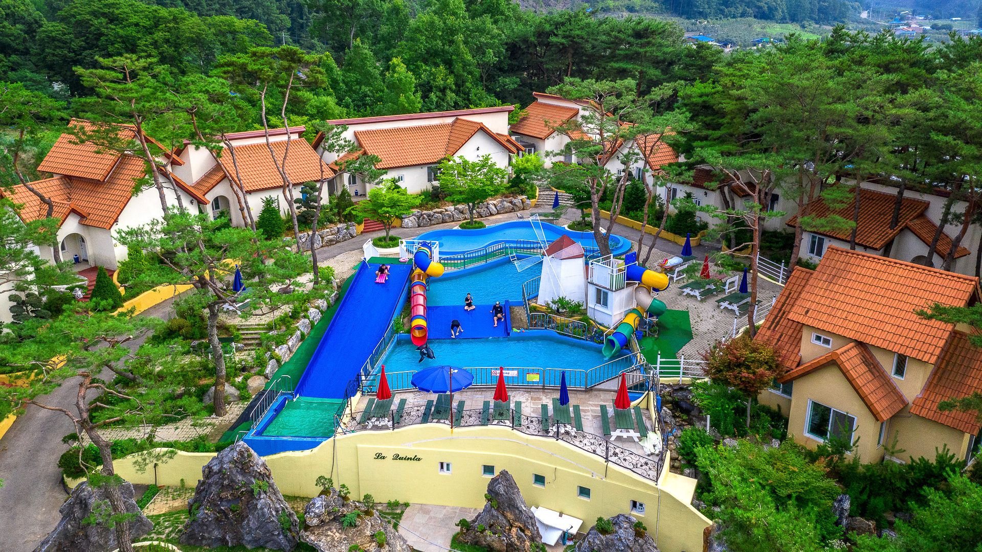 ����Ʈ����