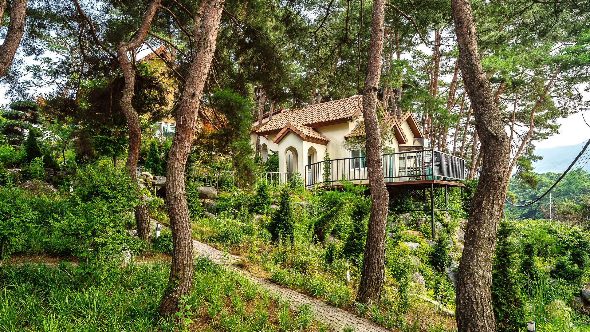 �ֺ���� �̹���