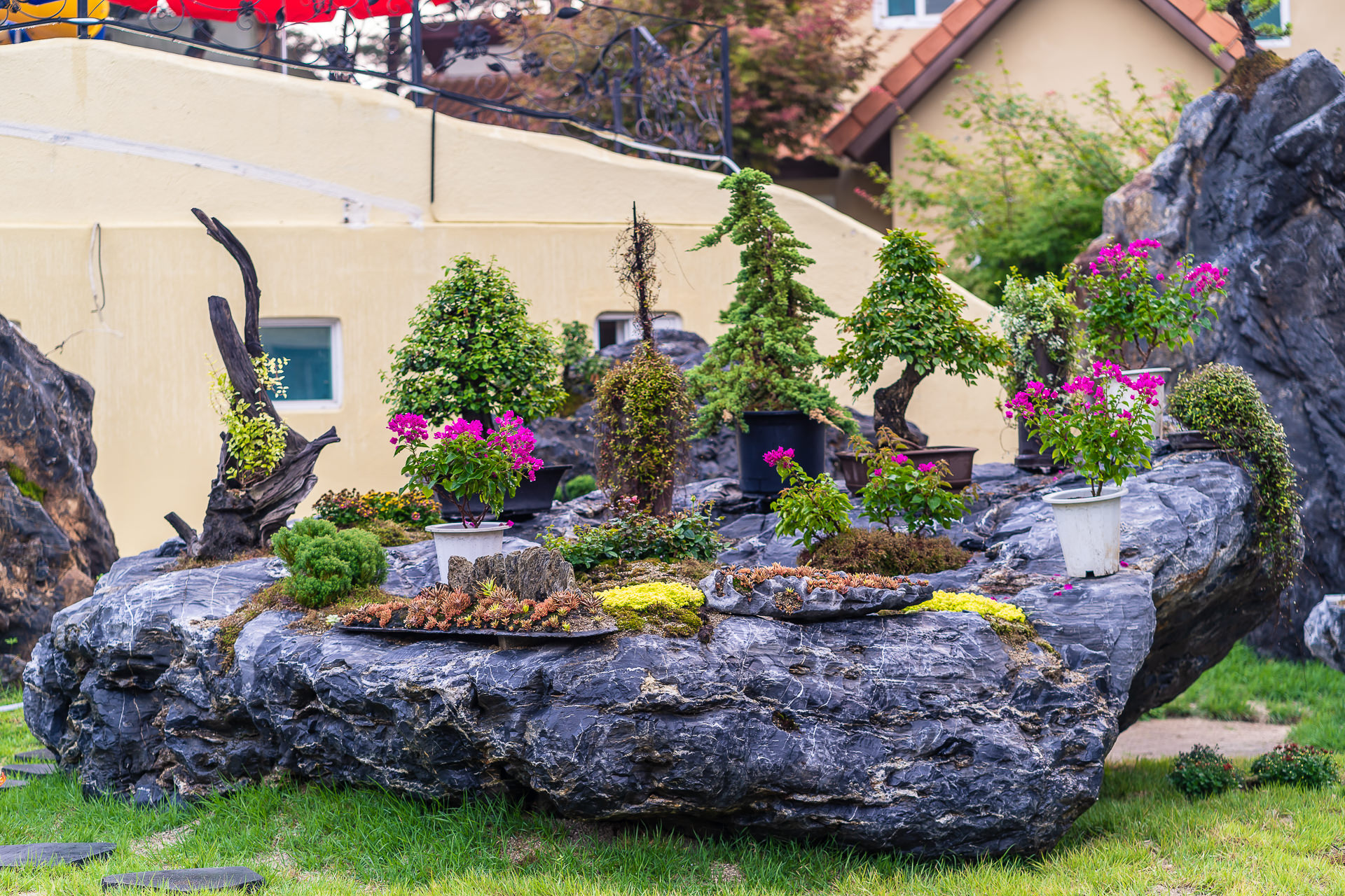 �δ�ü� �̹���