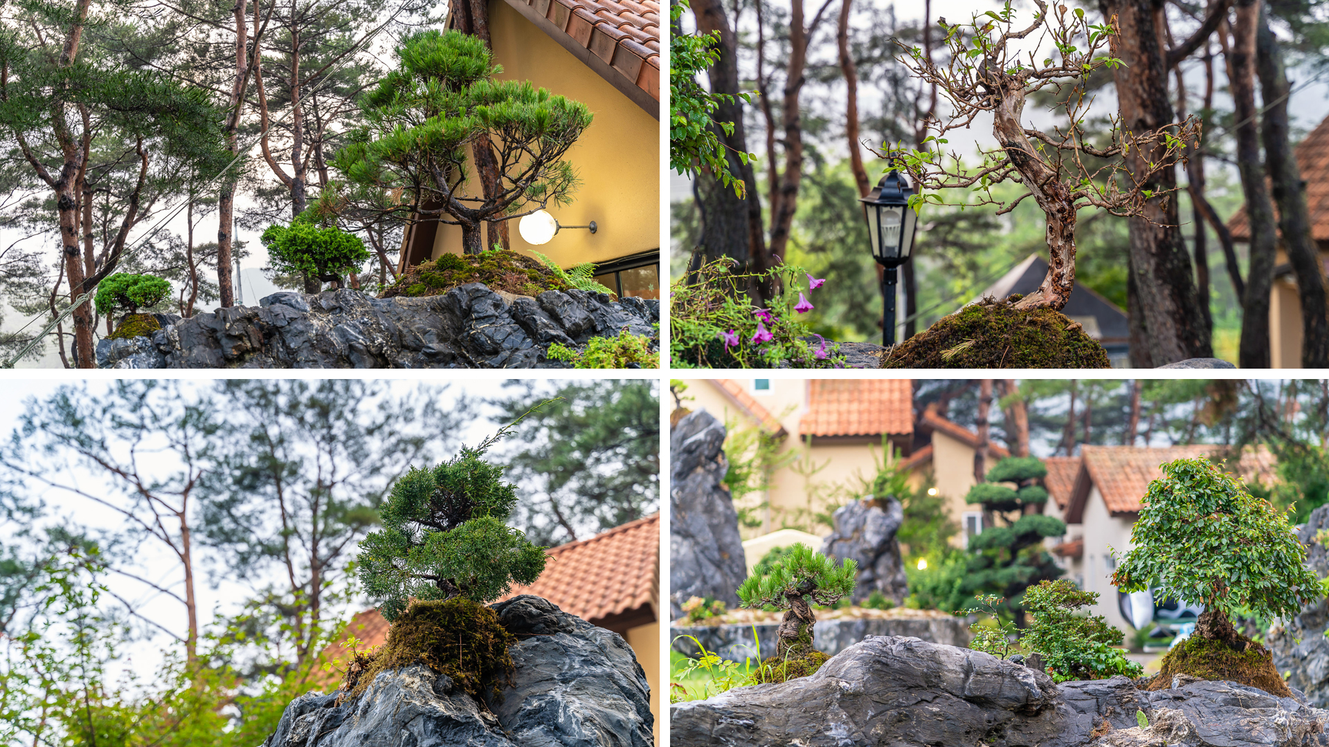 �δ�ü� �̹���