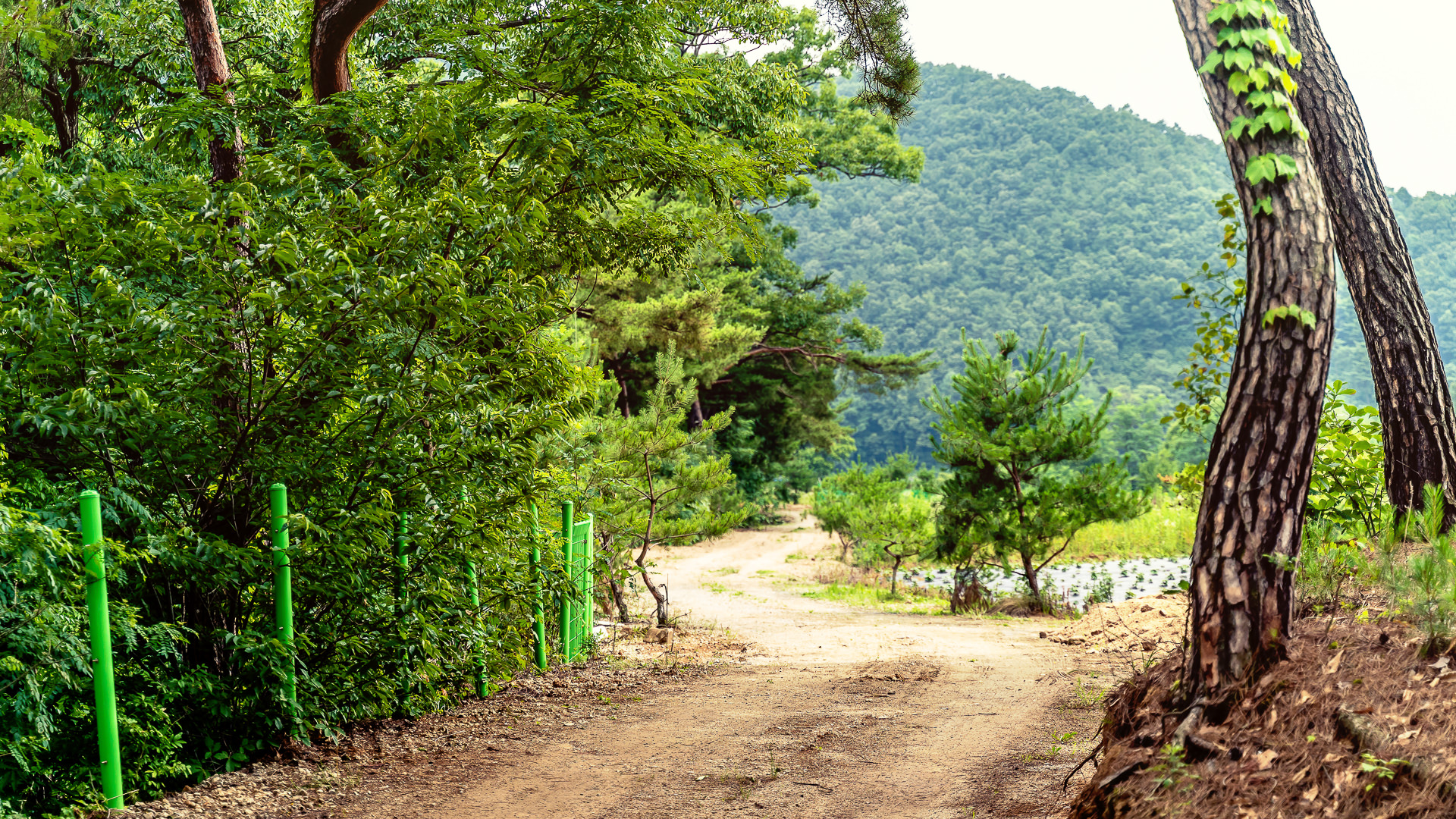 �δ�ü� �̹���