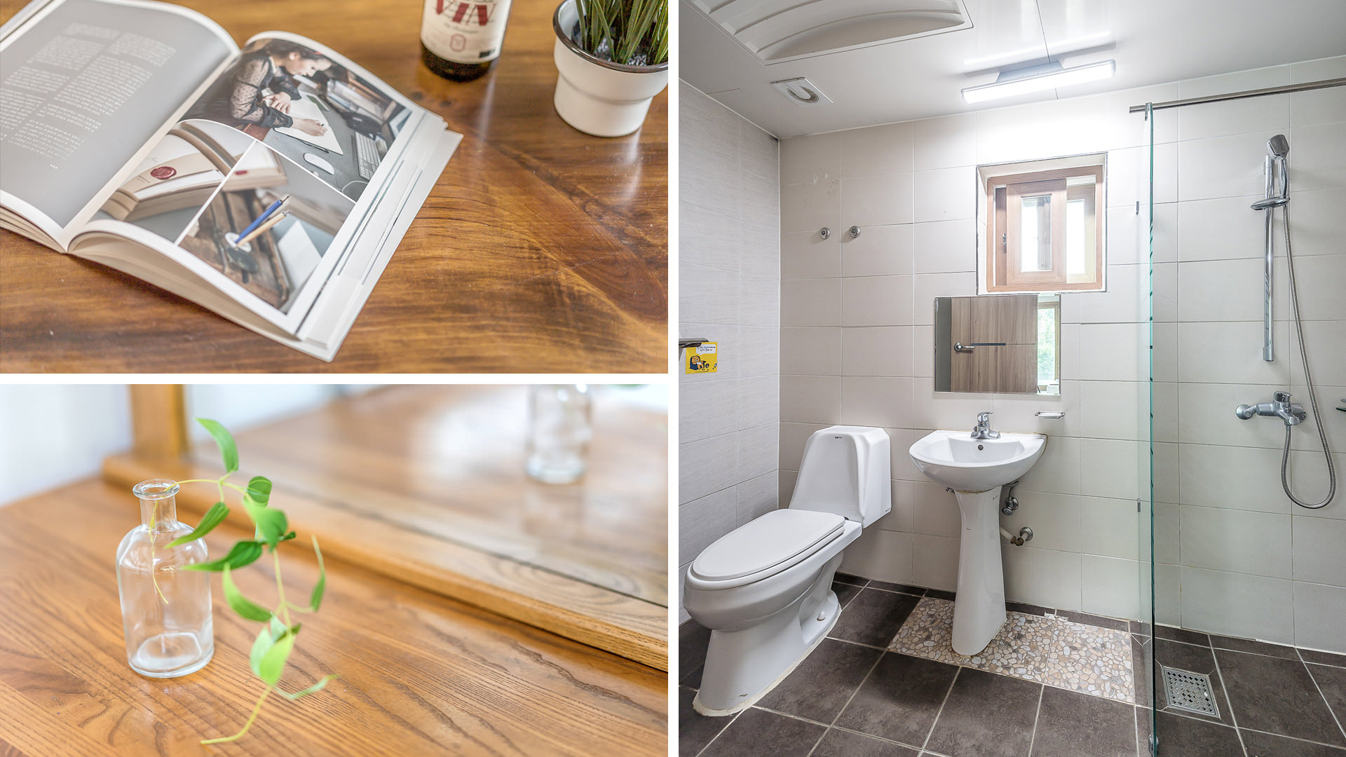 ���� �̹���