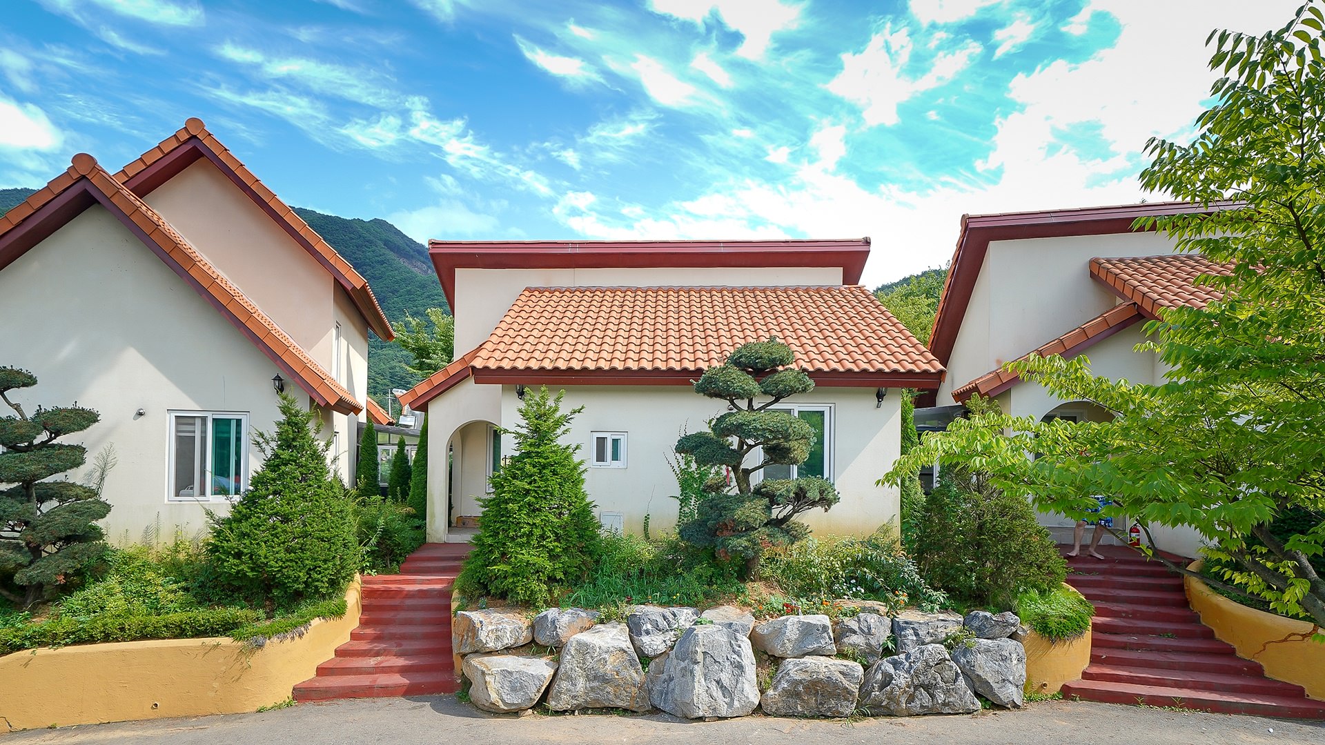 ���� �̹���