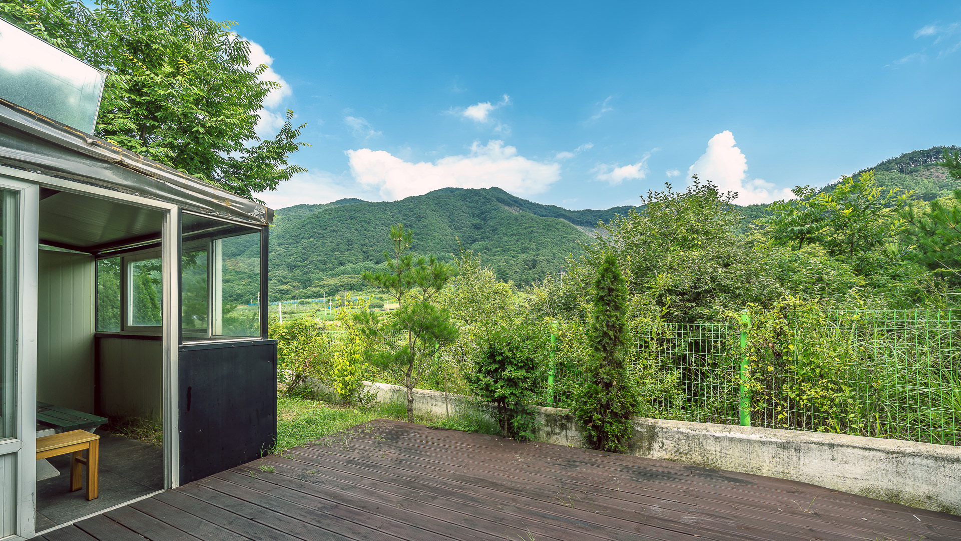 ���� �̹���