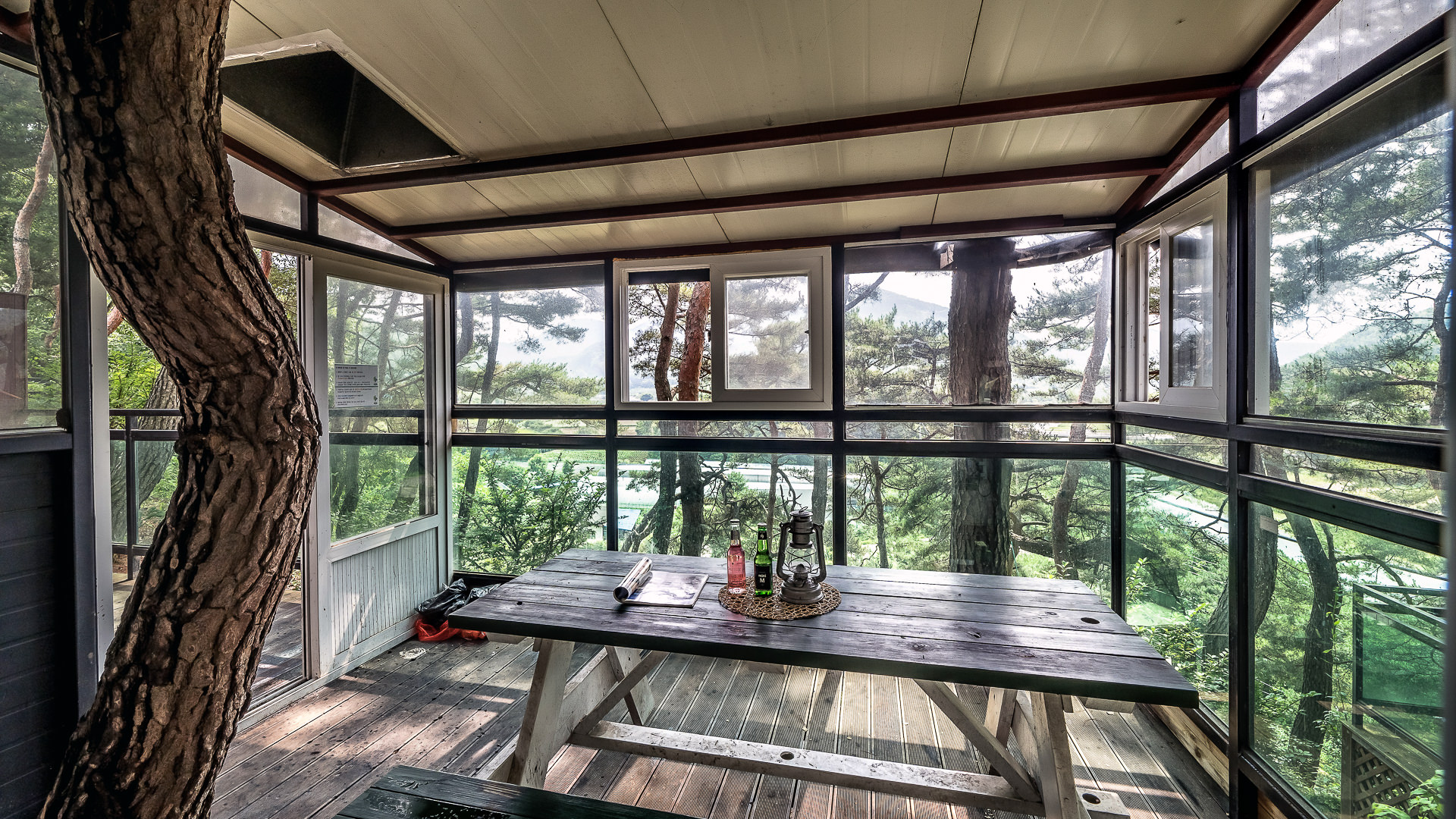 ���� �̹���