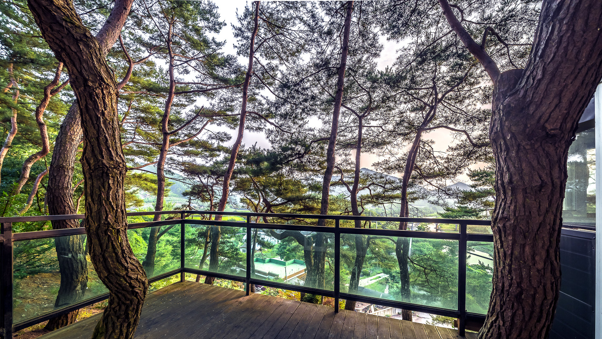 ���� �̹���