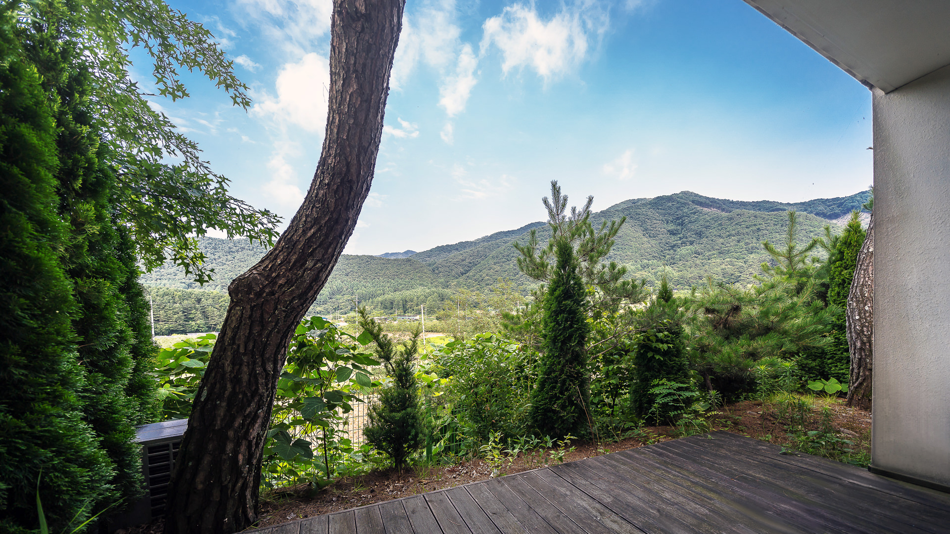 ���� �̹���