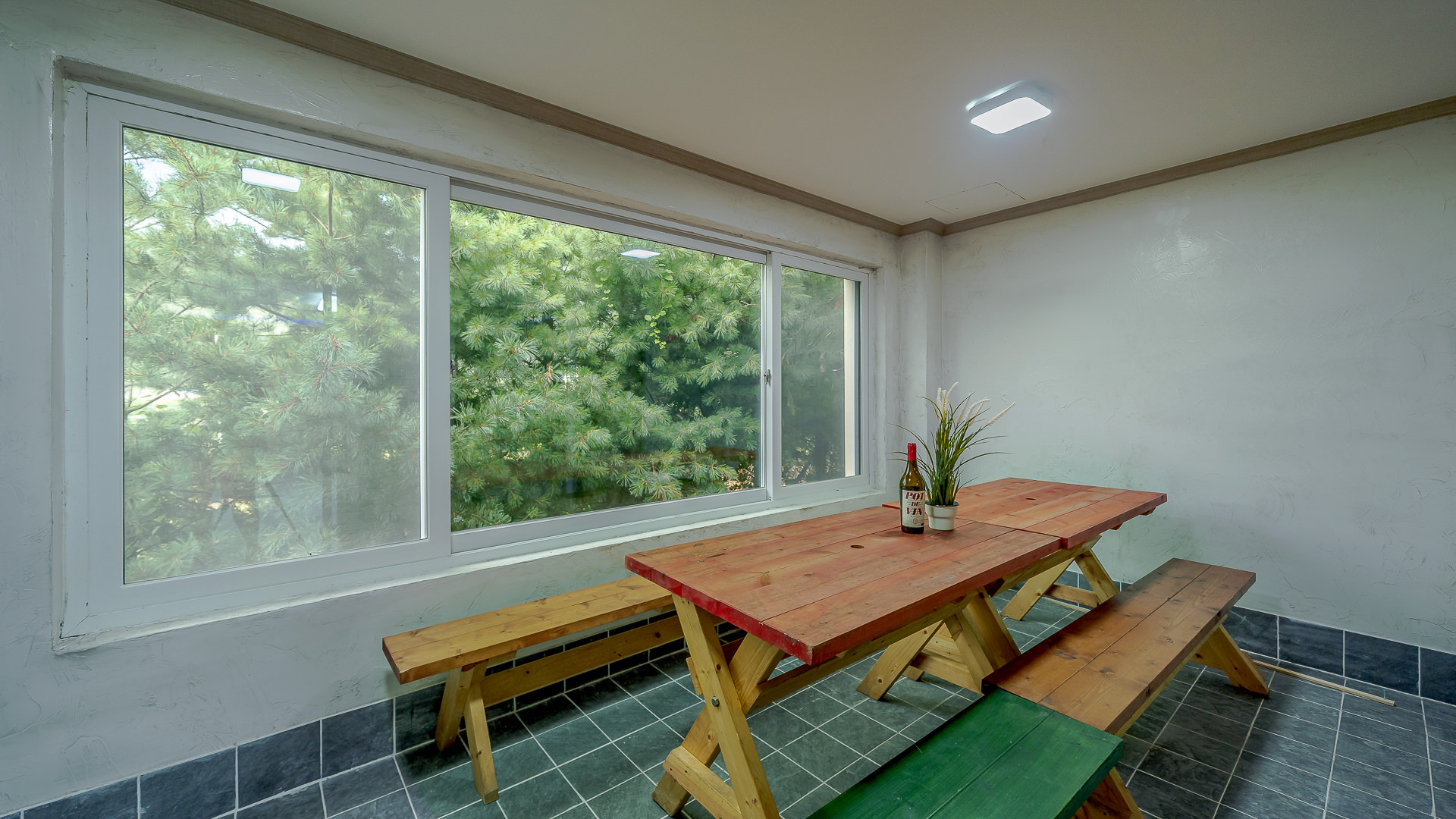 ���� �̹���