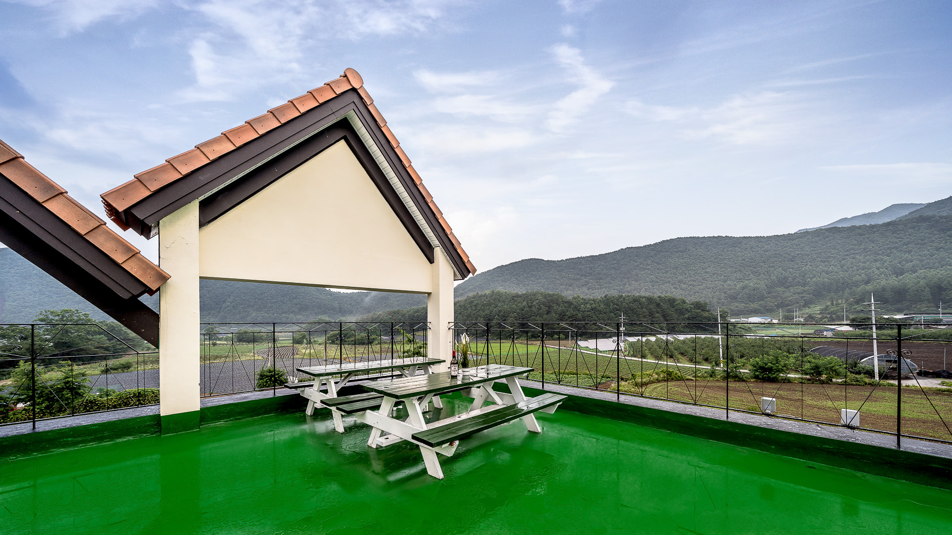 ���� �̹���