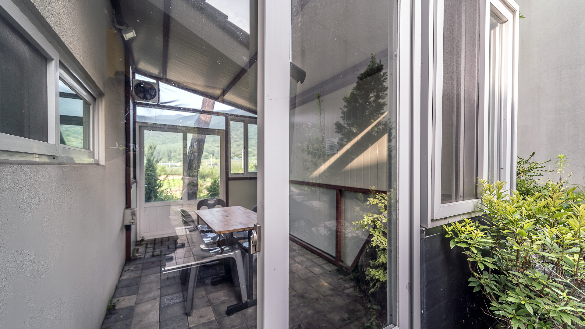 ���� �̹���