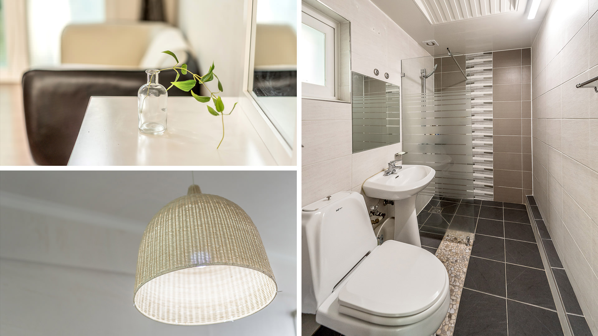 ���� �̹���