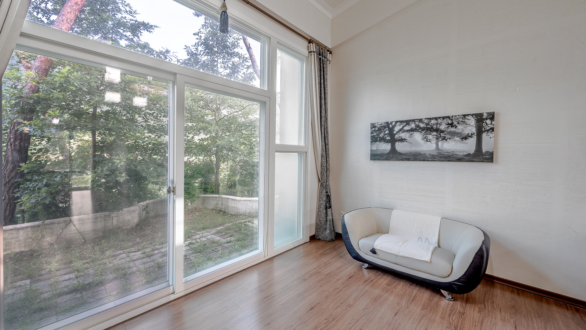 ���� �̹���