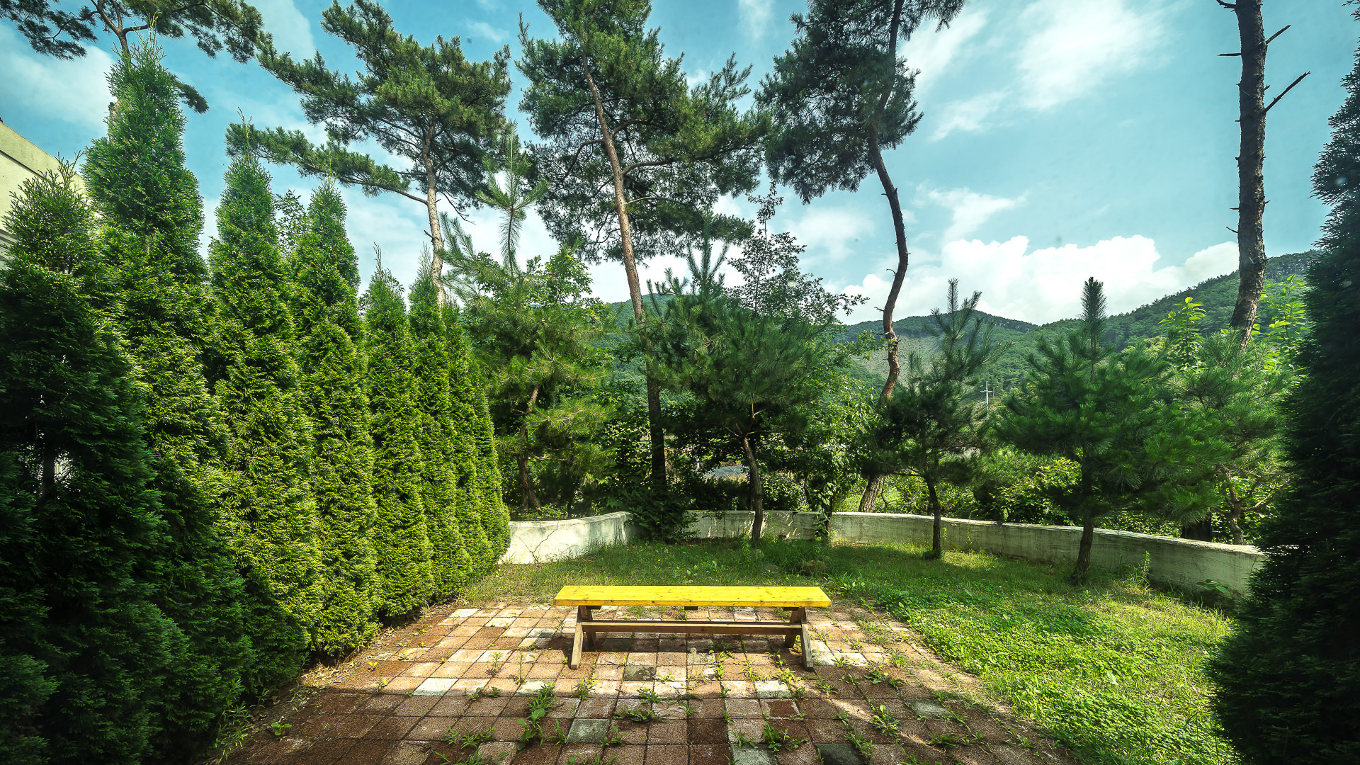 ���� �̹���