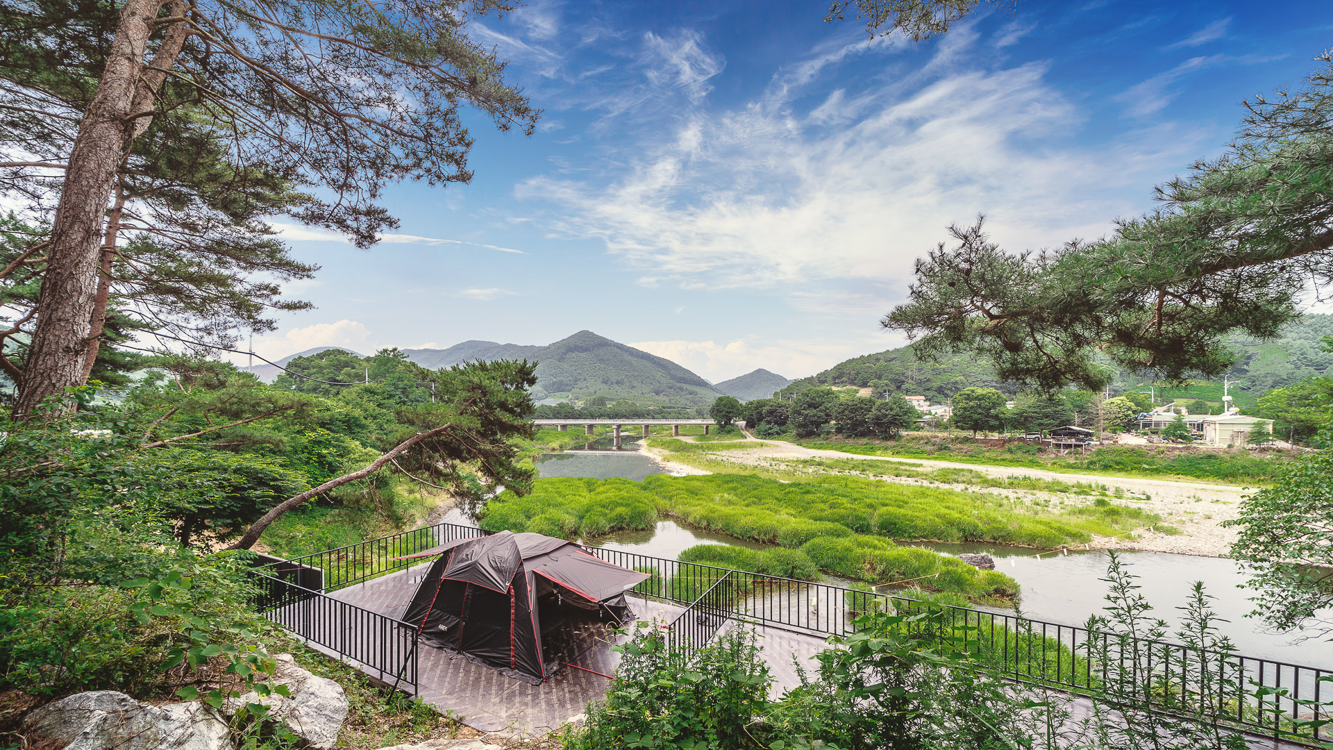 ���� �̹���