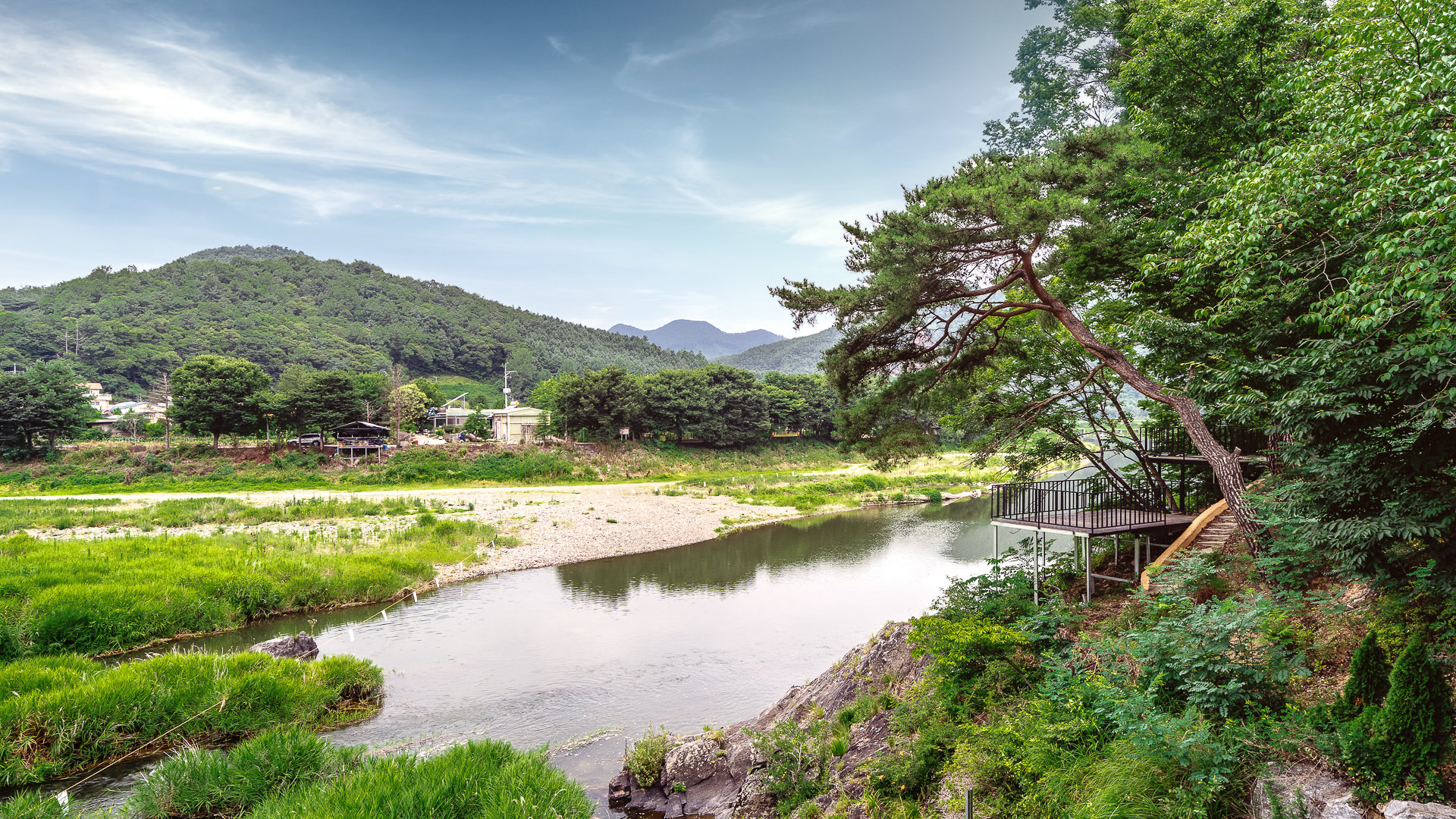 ���� �̹���