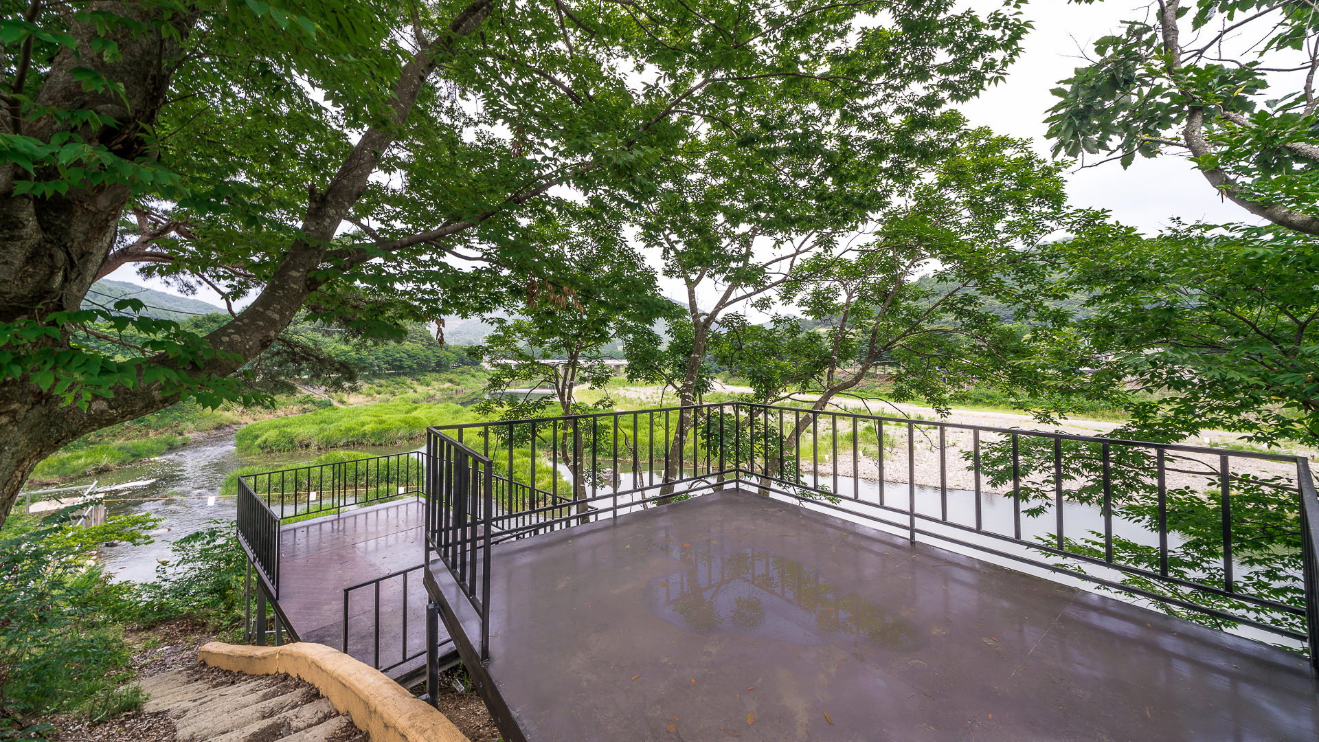 ���� �̹���