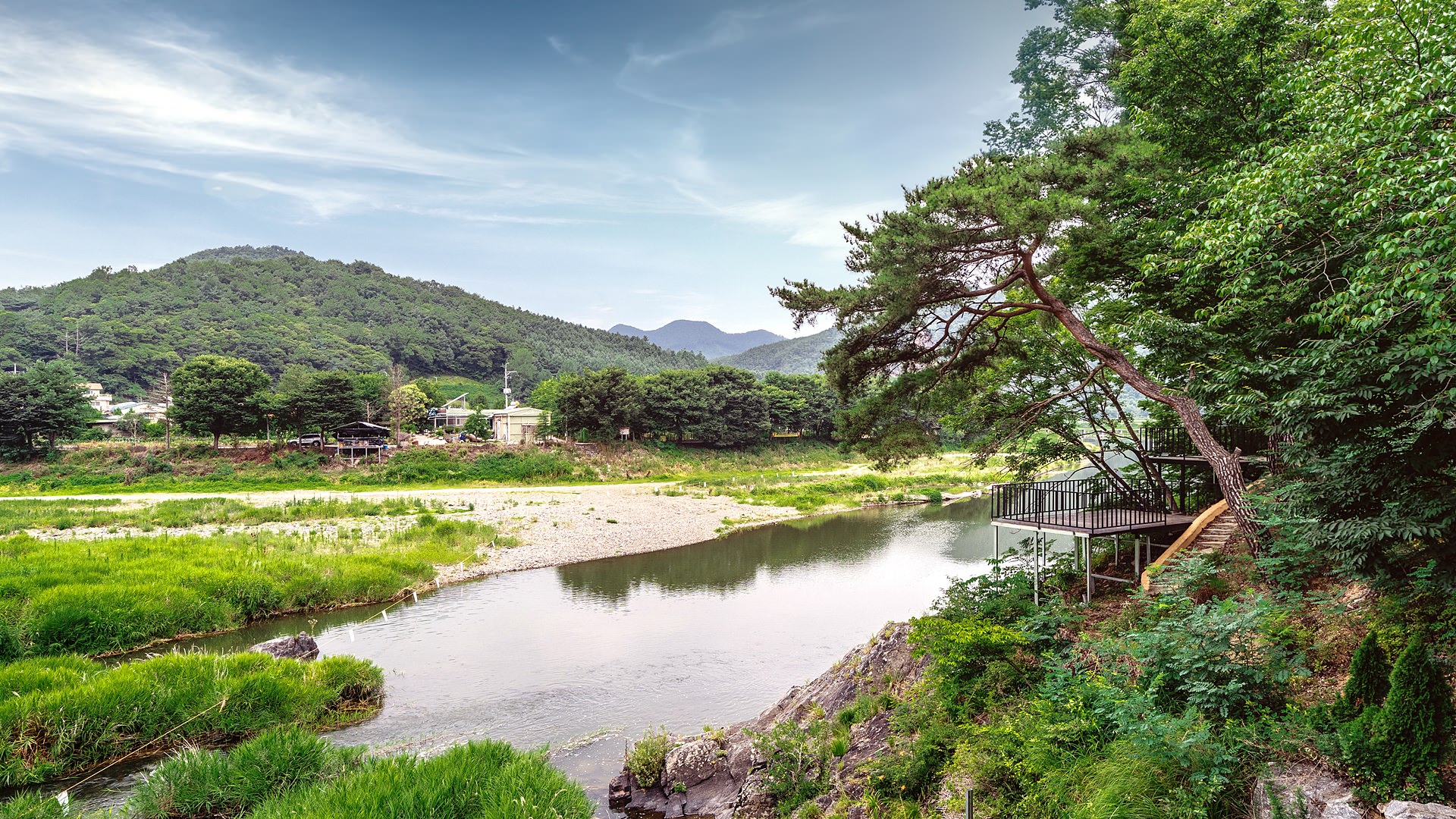 ������ �̹���