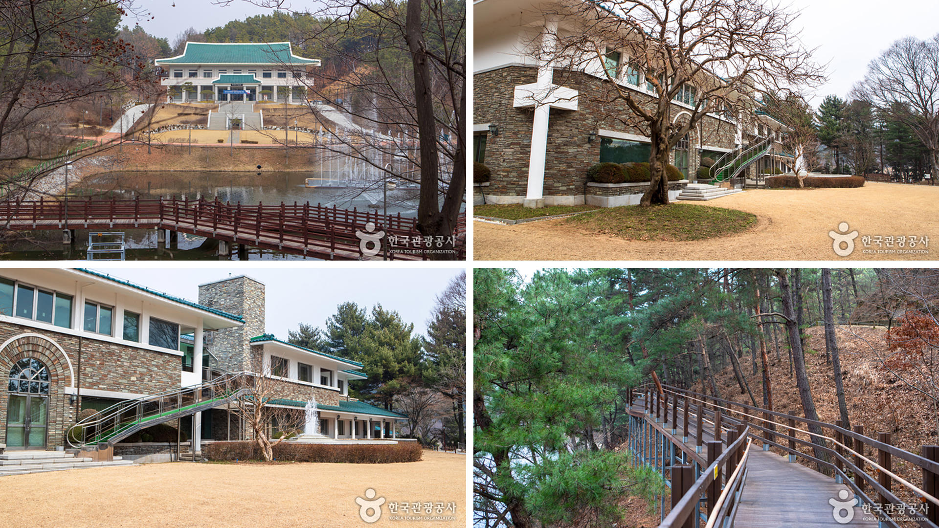 ������ �̹���