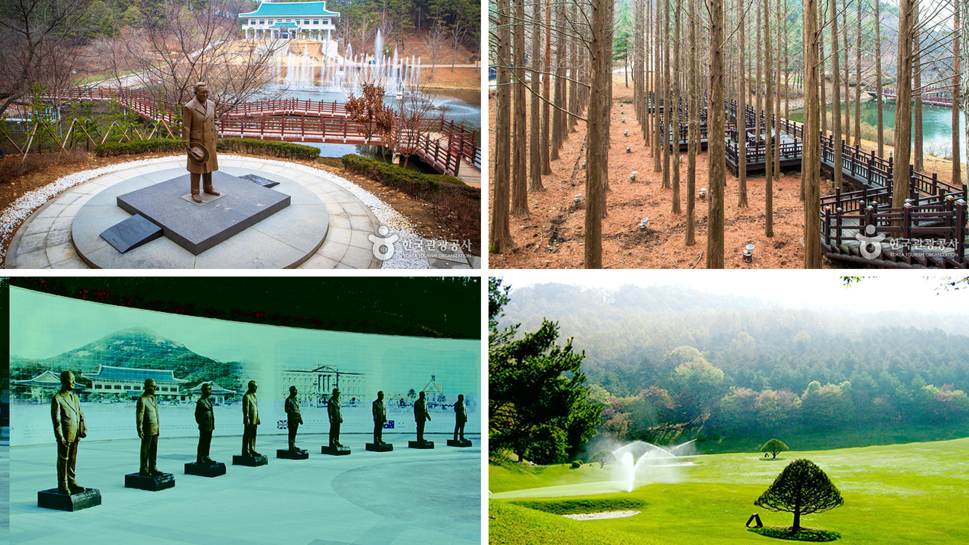 ������ �̹���