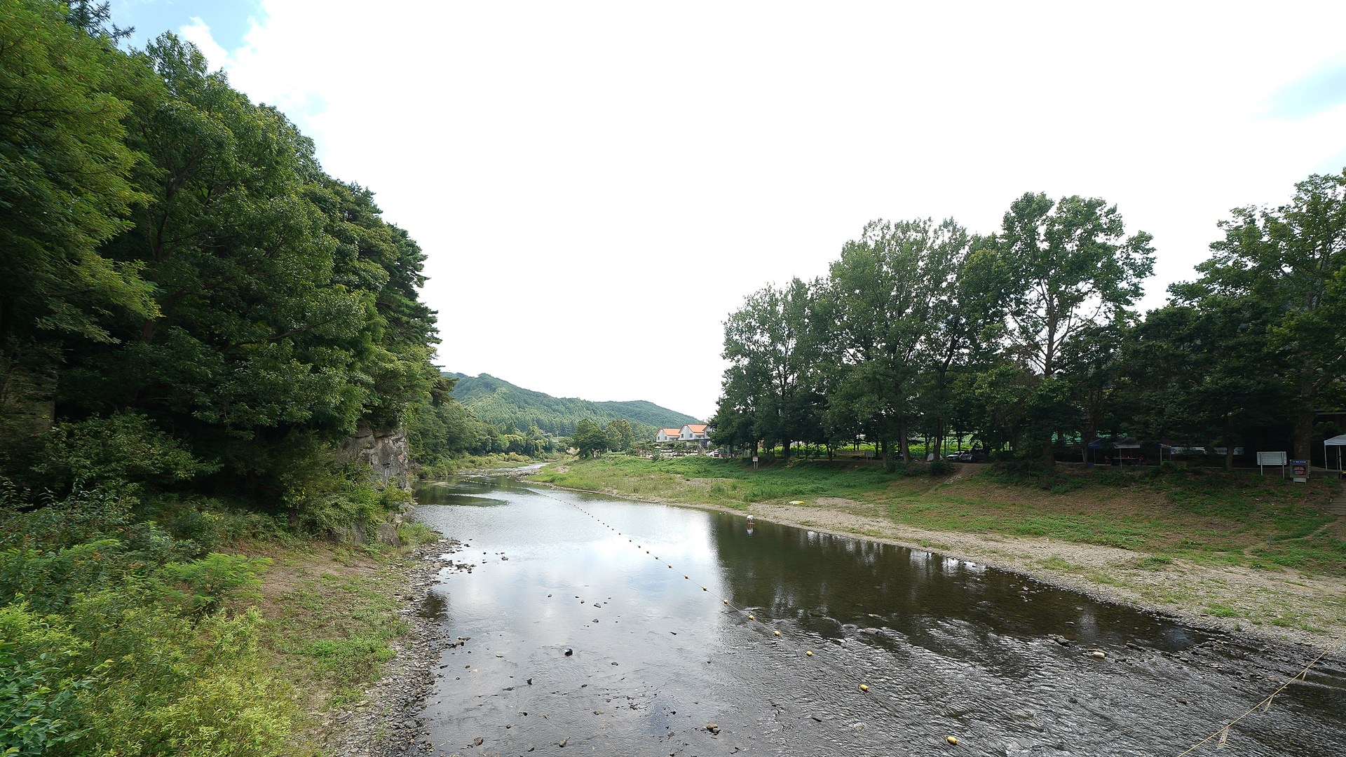 ������ �̹���