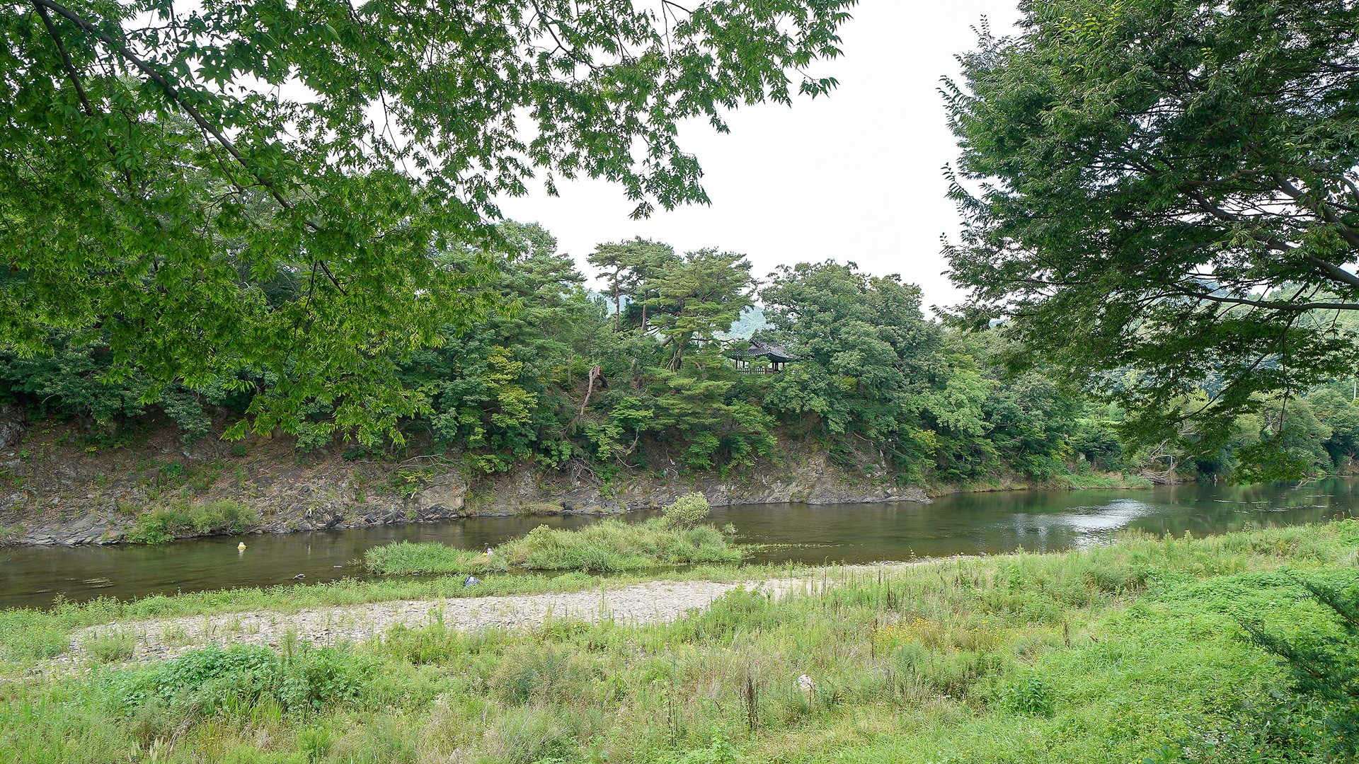 ������ �̹���