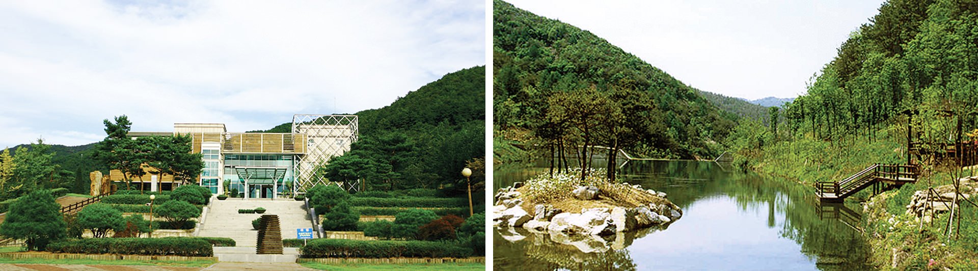 ������ �̹���