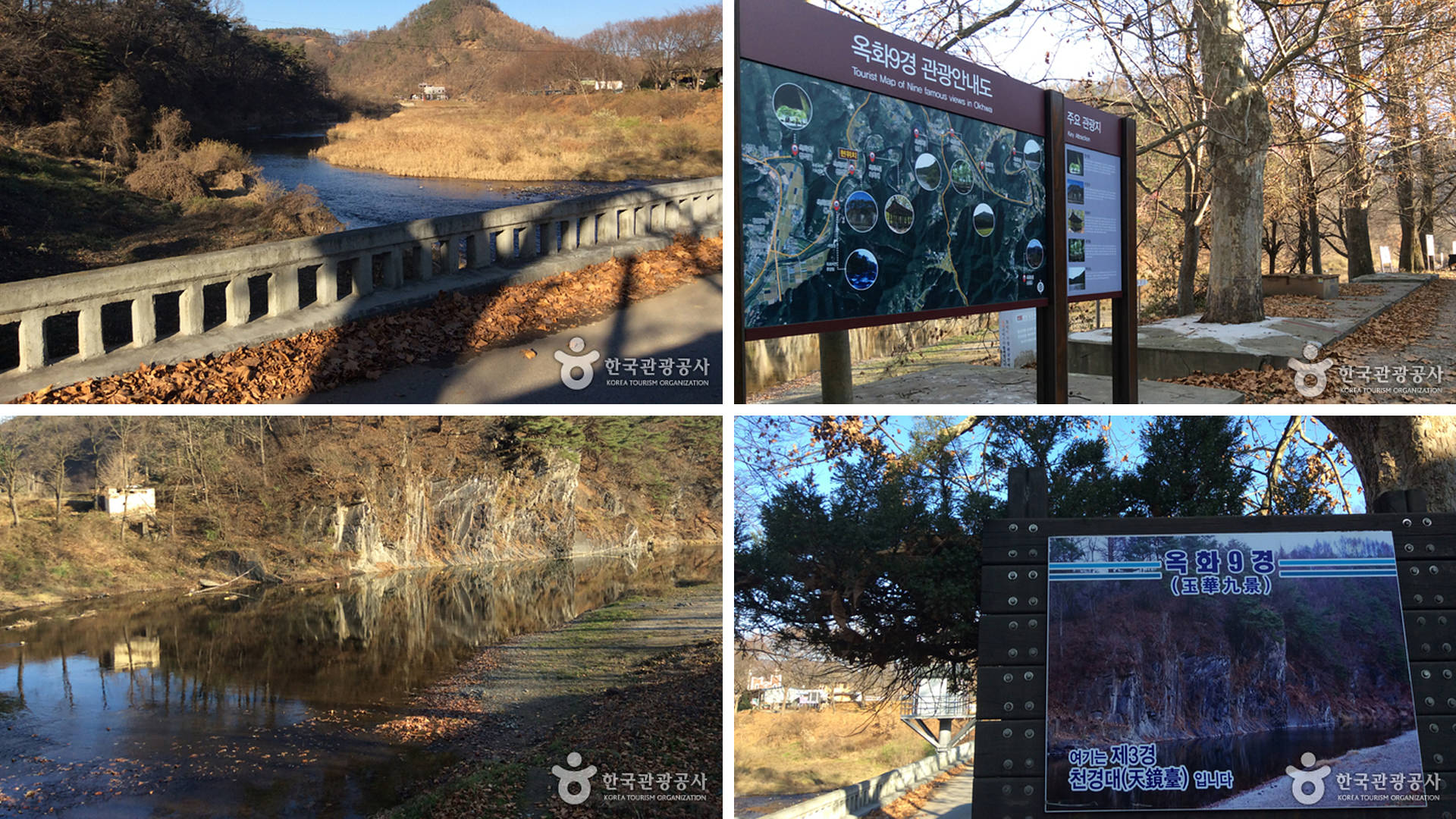 ������ �̹���