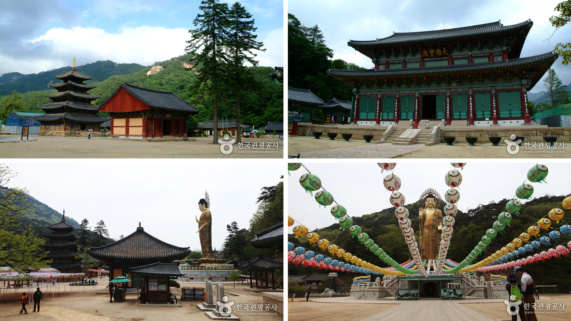 ������ �̹���