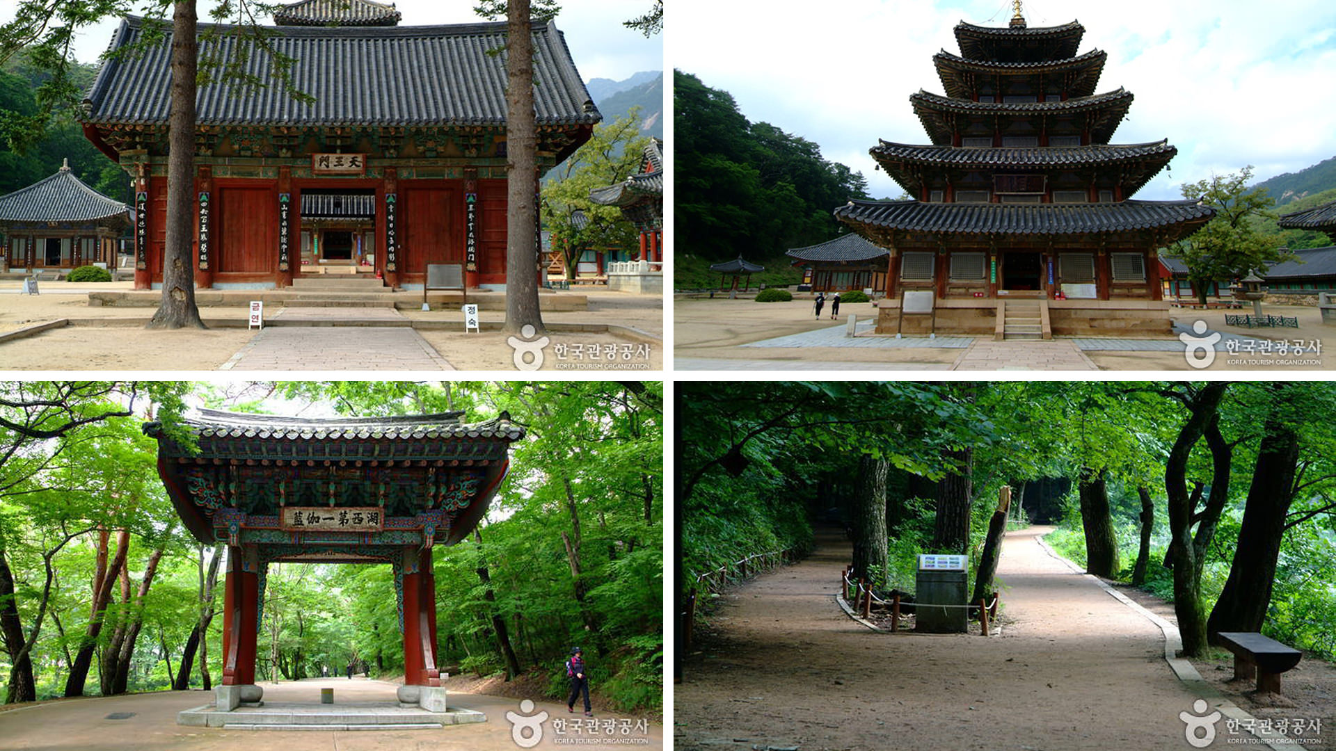 ������ �̹���