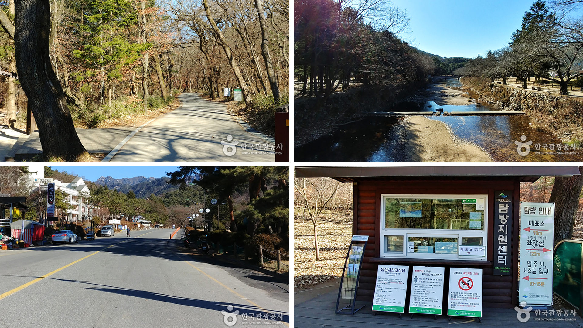 ������ �̹���