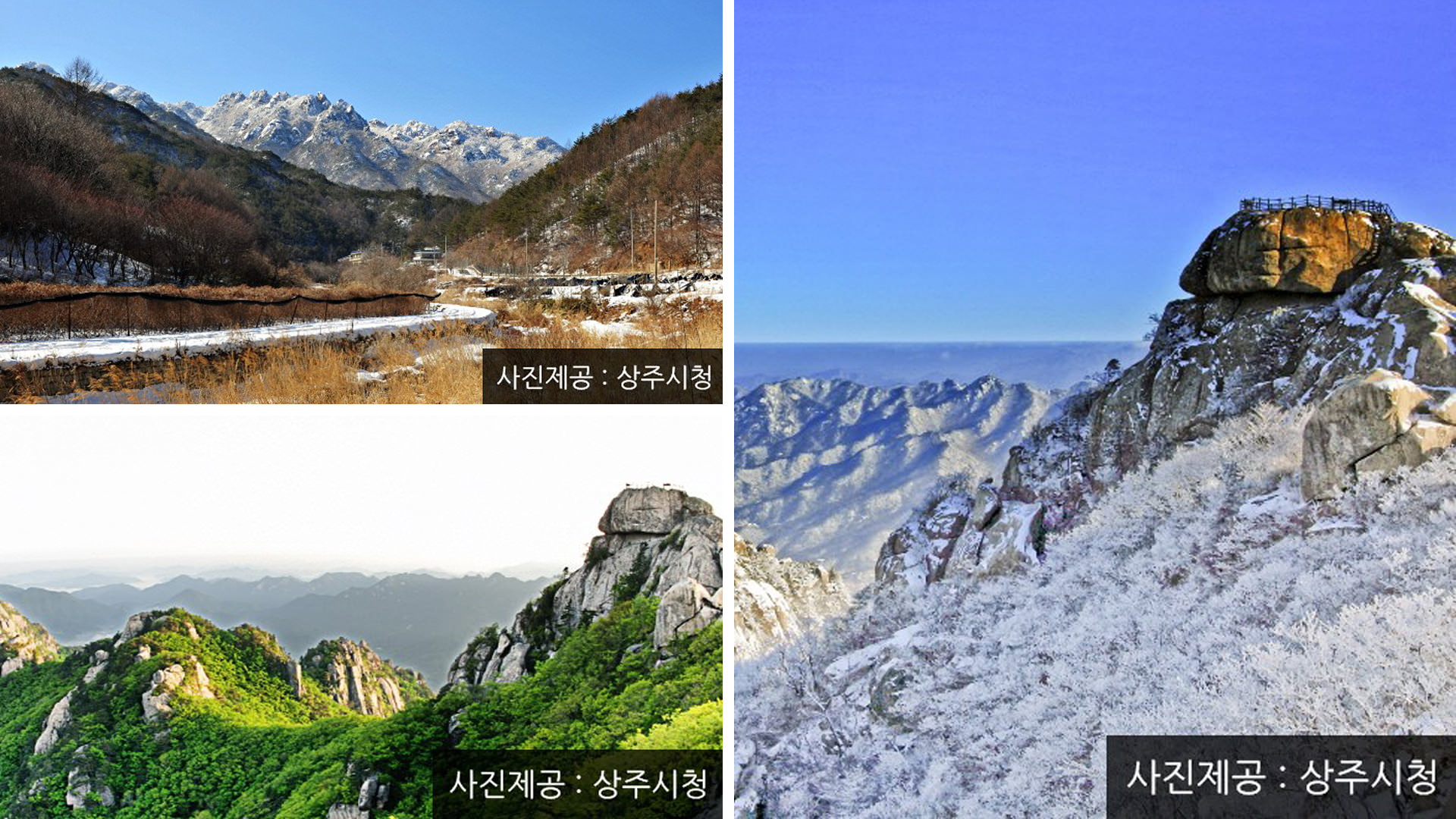 ������ �̹���