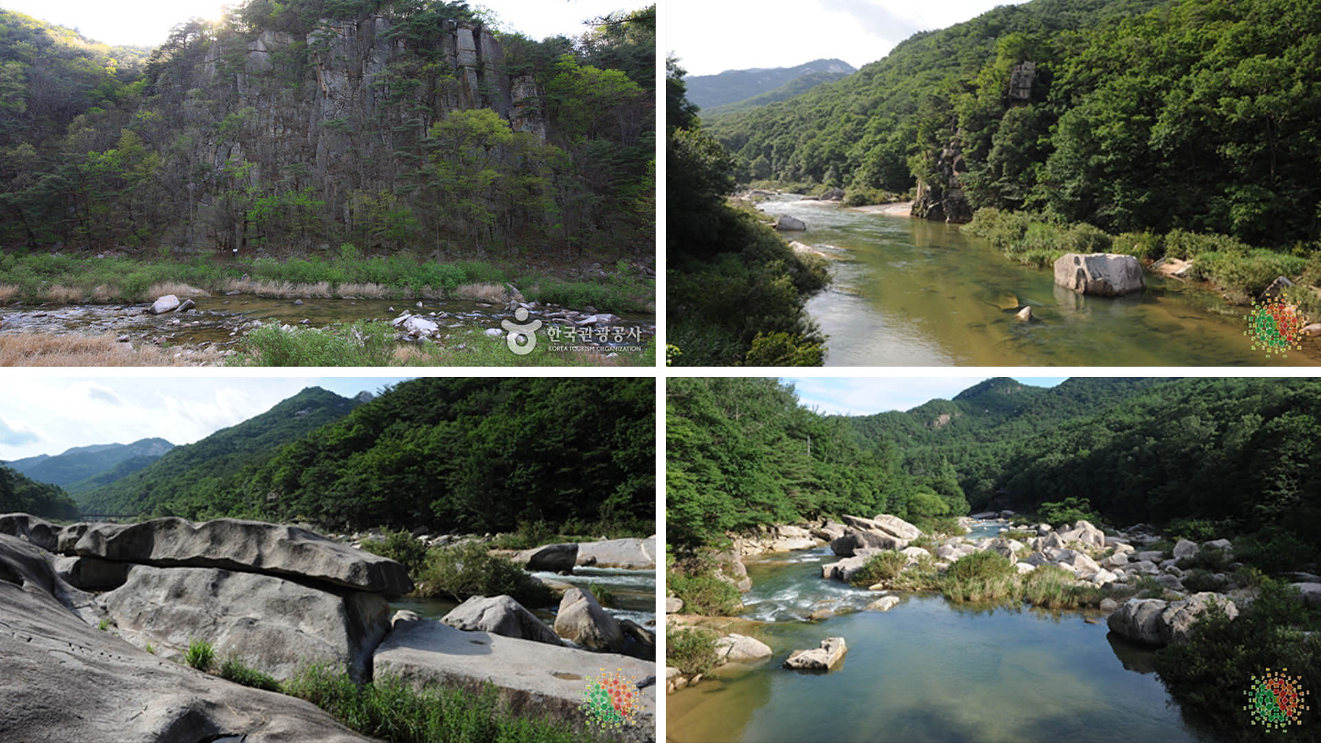 ������ �̹���